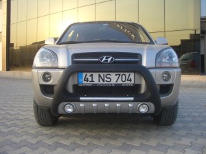 WT001 Lena (1)